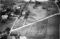 Hausten1954, Hareid