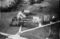 Hausten1954, Hareid