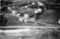 Hausten1954, Hareid