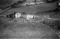 Hausten1954, Hareid