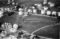 Hausten1954, Håbakkane