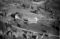 Hausten1954, Røyset
