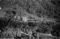 Hausten1954, Røyset