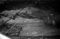 Hausten1954, Hovden