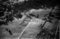 Hausten1954, Hovden