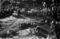 Hausten1954, Ytre Mork
