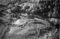 Hausten1954, Indre Mork