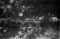 Hausten1954, Nesset