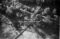 Hausten1954, Nesset