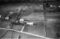 Hausten1954, Grimstad