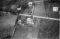 Hausten1954, Grimstad