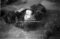 Hausten1954, Teigane