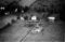 Hausten1954, Holstad