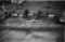 Hausten1954, Grimstad
