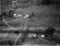 Hausten1954, Grimstad
