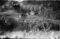 Hausten1954, Korshamna