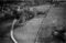 Hausten1954, Liavåg
