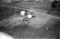 Hausten1954, Nedre Liaset