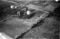 Hausten1954, Nedre Liaset