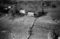 Hausten1954, Øvre Liaset