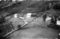 Hausten1954, Nedrelid