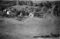 Hausten1954, Nedrelid
