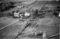 Hausten1954, Nedrelid