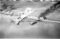 Hausten1954, Liavåg