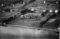 Hausten1954, Pilskogane