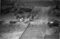 Hausten1954, Nedrelid