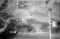 Hausten1954, Pilskogane