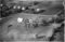 Hausten1954, Pilskogane