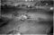 Hausten1954, Pilskogane