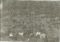 01.06.1963, Nedre Liaset