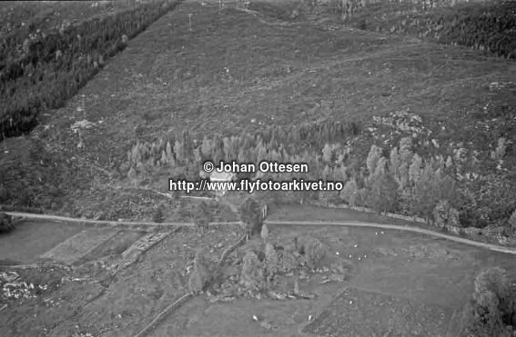 Havågane, haust 1954