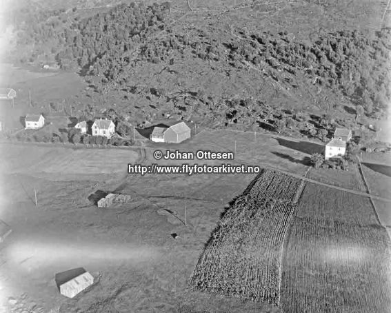 Roppene, haust 1954