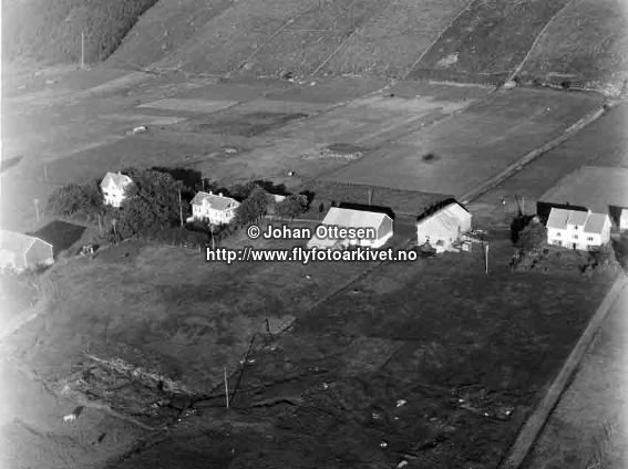Midtflø, haust 1954