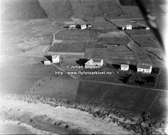 Midtflø, haust 1954