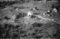 Håheim, 22.09.1954