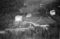 Ytre-Haddal, 22.09.1954