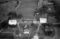Myrane, 22.09.1954