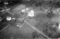 Indre-Haddal, 22.09.1954