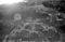 Hatløya, 22.09.1954