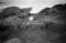Hatløya, 22.09.1954