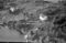 Hatløya, 22.09.1954