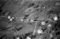 Vik, 22.09.1954
