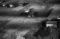 ulstein, 05.09.1954