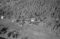 Strandabøen, 05.09.1954