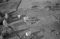Eiksund, 05.10.1954