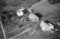 Eiksund, 05.10.1954